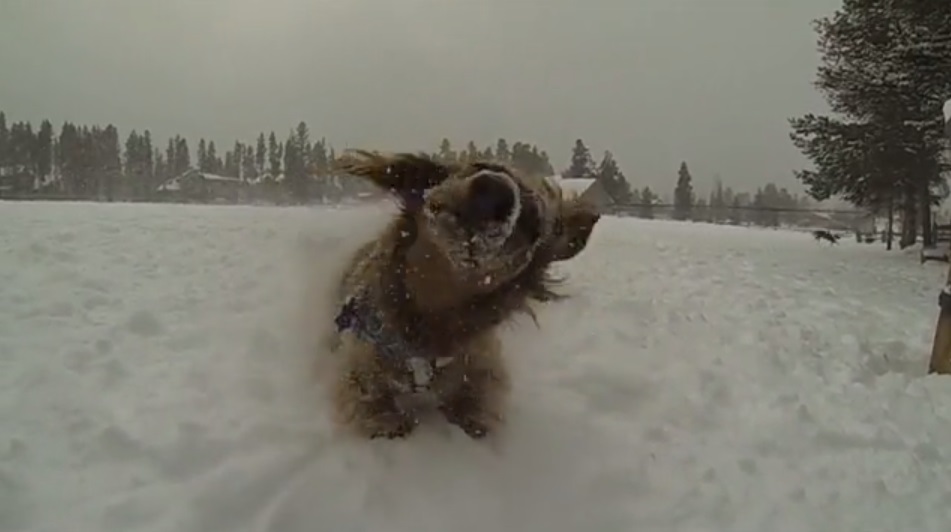 Video: Colorado 2014 Powder Edit From Chad Otterstrom